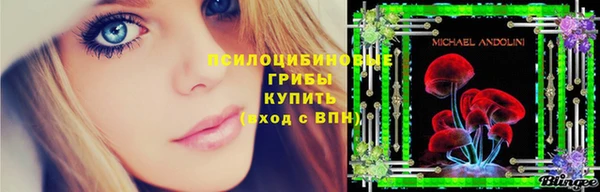 прущие крисы Белокуриха