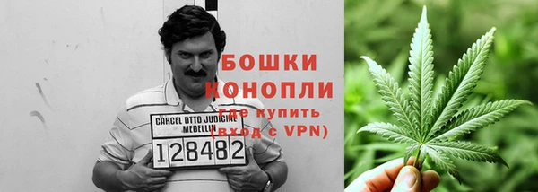 гидра Белоозёрский