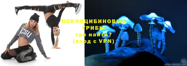 гидра Белоозёрский