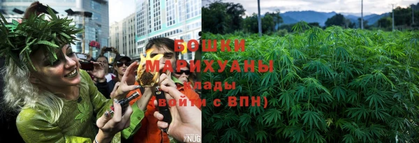 гидра Белоозёрский