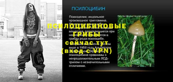 гидра Белоозёрский