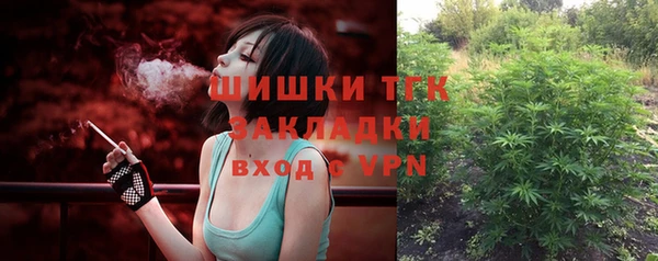 гидра Белоозёрский