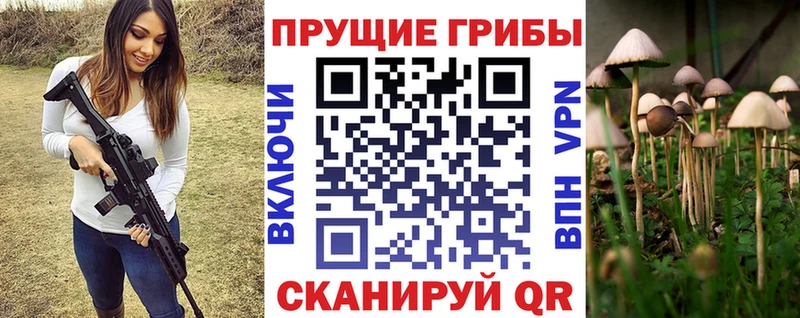 блэк спрут   Воркута  Галлюциногенные грибы Psilocybe 